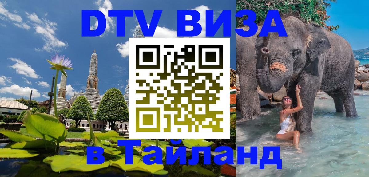 Электронная виза DTV в Тайланд Щёлково 